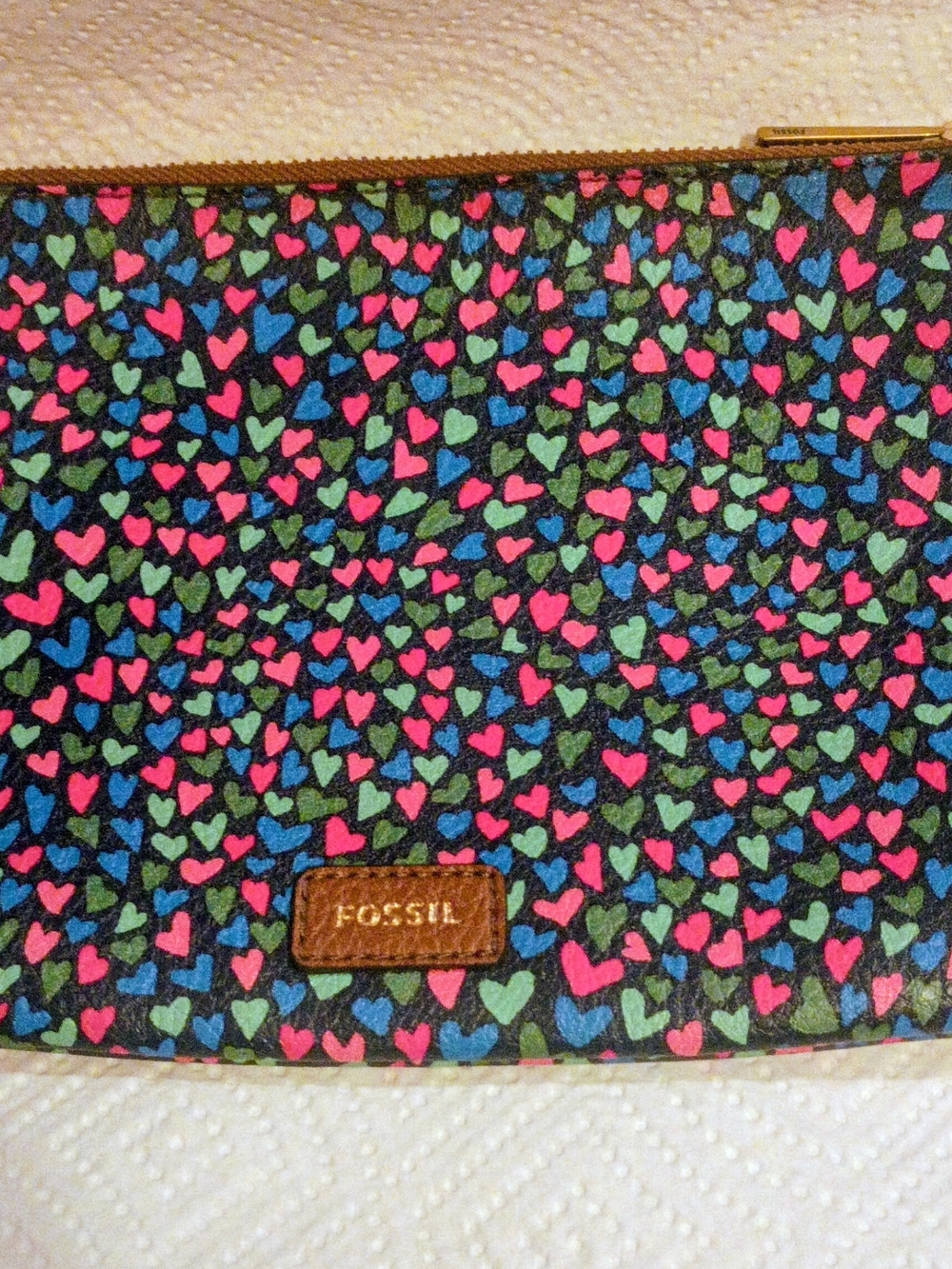 Fossil Heart-Print Zip Pouch in Pink, Blue & Green